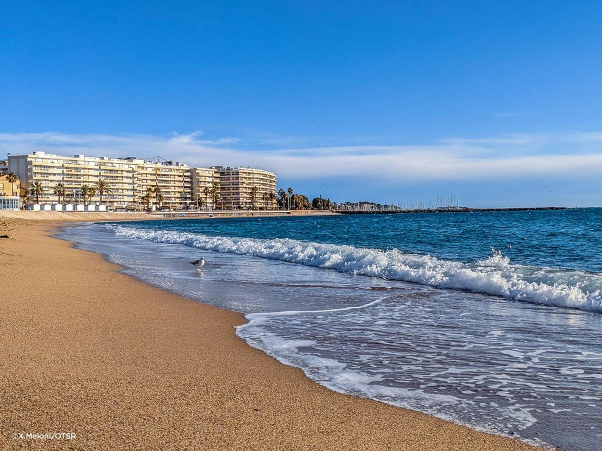 Appartement 2P, 4 Couchages, Terrasse Et Salon De Jardin A 200M De La Plage, Frejus - Fr-1-226A-22 Exterior foto